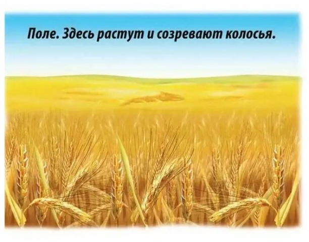 26.03.2026 г Викторина "Хлеб всему голова"